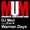 Warmer Days (DJ Meri's Liquatech Instrumental) - DJ Meri lyrics