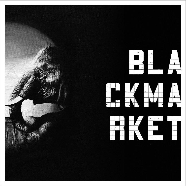 Elephant In the Room