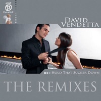 Hold That Sucker Down (The Remixes) - Single - David Vendetta