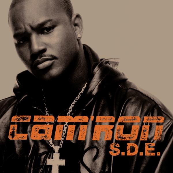 Обложка альбома «S.D.E.» — Cam'ron