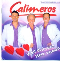 Ich kann die Liebe nicht beschreiben