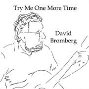 Try Me One More Time - David Bromberg