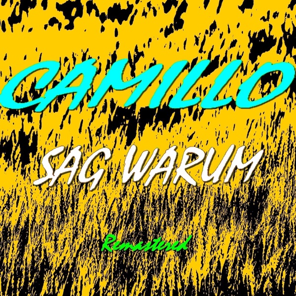 Cover Camillo Feat. Rosendale - Last Call (Extended Mix)