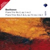 Beethoven : Piano Trio No.6 in E flat major Op.70 No.2 : I Poco sostenuto - Allegro, ma non troppo
