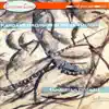 Aldo Orvieto, Guido Facchin, Renato Maioli & Tammittam Percussion Ensemble - Partita, "Hommage a Rameau": II. Andante cantabile
