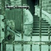Sanctimony - Sinchronicity II