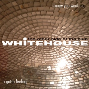 I Gotta Feeling / I Know You Want Me - Single