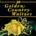 Blue Danube Waltz