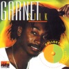 Collectors Series: Garnett Silk