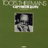 Toots Thielemans - エアージン