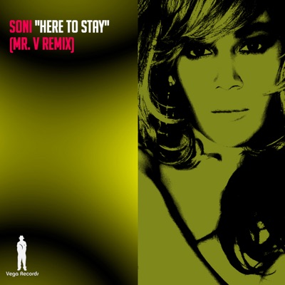 Here to Stay (Mr. V Rmx)