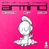 Armin Van Buuren Presents Armind Best of 2011