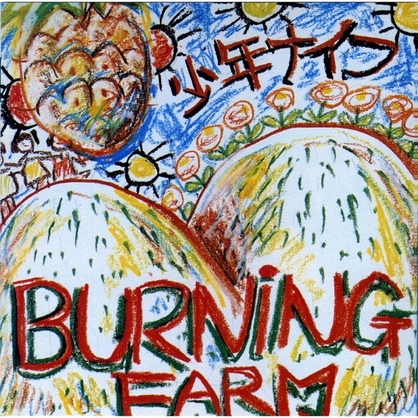 BURNING FARM