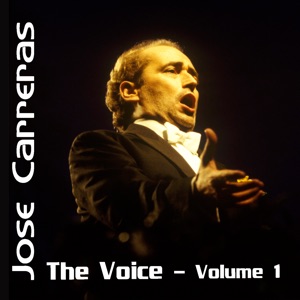 The Voice, Vol. 1