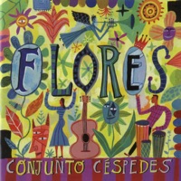 Flores Para Tu Altar