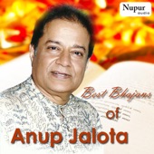 Best Bhajans of Anup Jalota artwork