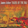 James Asher - Tigers of the Raj обложка