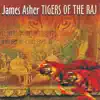 James Asher - Temple Gates (Radio Edit)