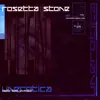 Rosetta Stone - Reward