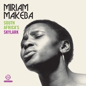 South Africa's Skylark: Classic & Rarities artwork