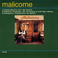 Une fille dans le désespoir — Malicorne