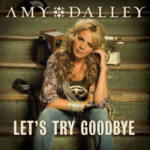 Let's Try Goodbye - Single