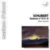 Melos Quartett - String Quartet No. 15 in G Major, Op. 161, D. 887: I. Allegro Molto Moderato