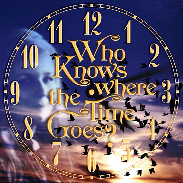 Who Knows Where the Time Goes? - Single
