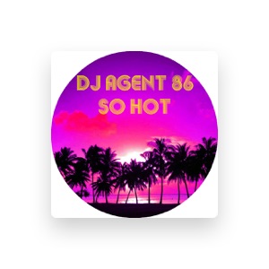 DJ Agent 86