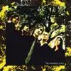 The Sunshine - Straphanger Girl