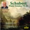 Piano Sonata No. 21 in B flat major, Op.posth. (D. 960): III. Scherzo. Allegro vivace con delicatezza artwork
