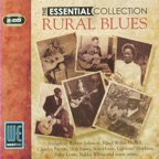 Mississippi Boweavil Blues