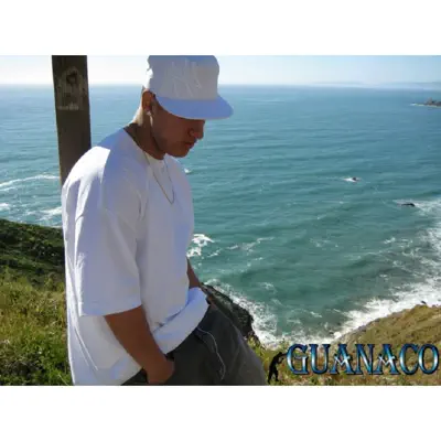 Guanaco - Guanaco