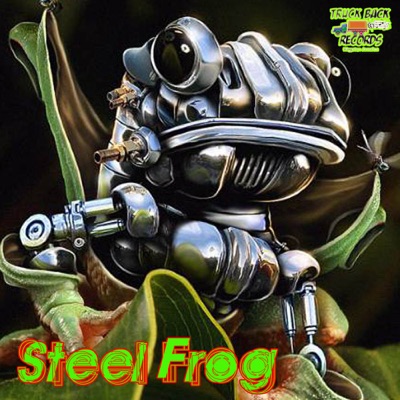 Steel Frog Riddim (Revisted Version)
