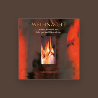 聆聽 Leipziger Blechbläsersolisten、觀看音樂影片、閱讀小傳、查看巡演日期等！