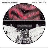 The Saltine Ramblers - I Saw Once