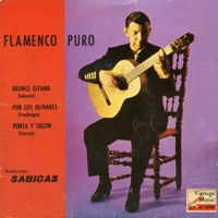 Vintage Flamenco Guitarra Nº11 - EPs Collectors 
