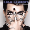 Adam Lambert - For Your Entertainment artwork