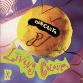 Living Colour - Talkin' Loud and Sayin' Nothing