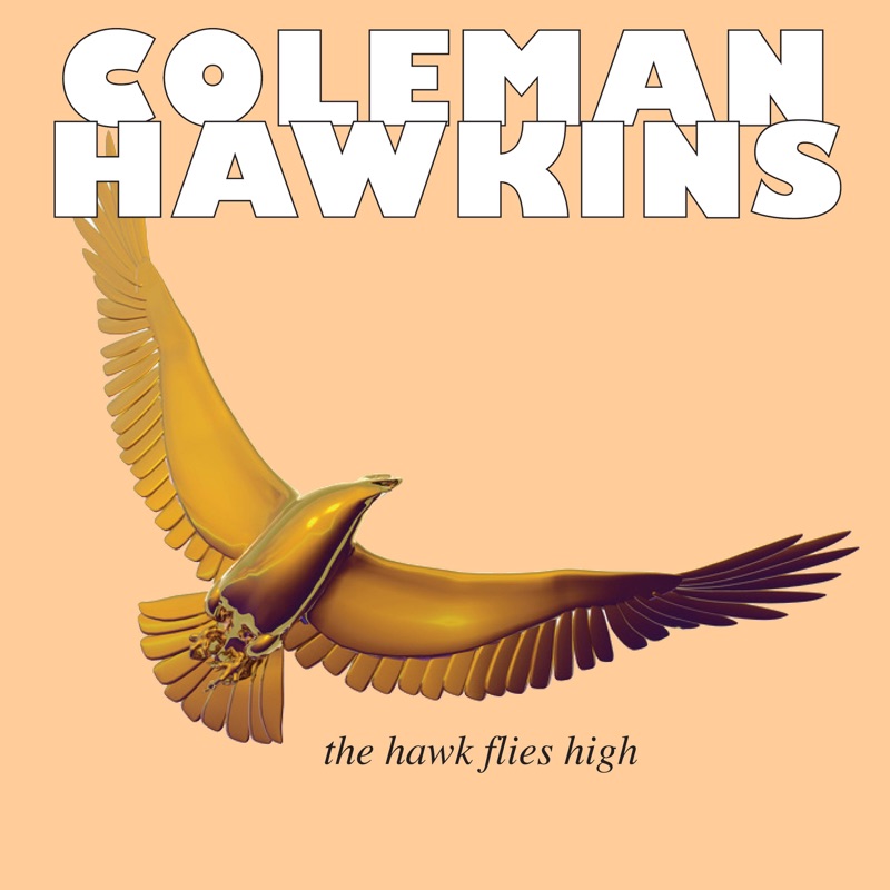 The Hawk Flies High