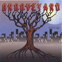 Anthology - Ronnie's Root's - Grooveyard