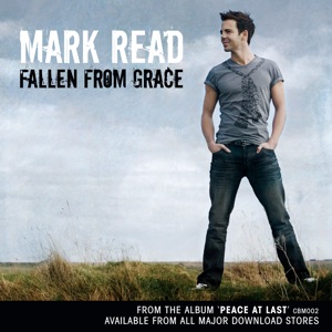 Fallen from Grace - Single