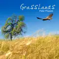 Reeds in the Wind