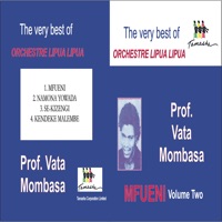 Cover of Mfueni