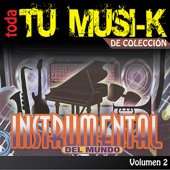 Tu Musi-k Instrumental, Vol. 2 artwork
