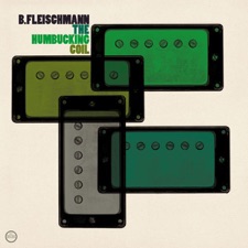 B. Fleischmann - Composure