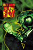 Return of the Fly - Unknown