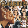 Livets Ord Worship - Gl&auml;djerop (Live) bild