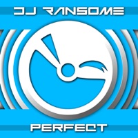 Perfect - Single - DJ Ransome