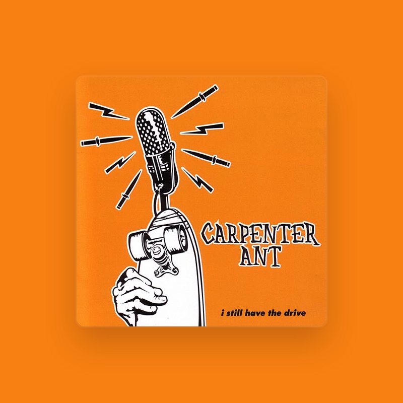 Carpenter Ant